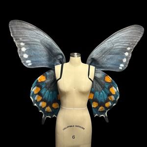 Large Pipevine Swallowtail Butterfly Wings Costume, Butterfly Halloween Costume